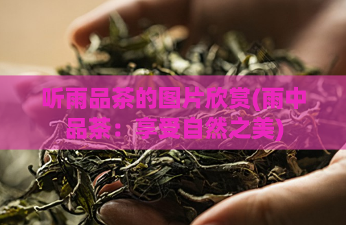 听雨品茶的图片欣赏(雨中品茶：享受自然之美)  第1张