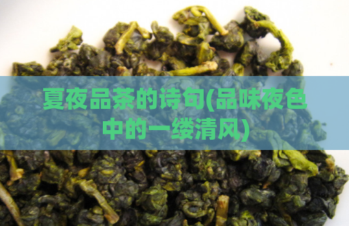 夏夜品茶的诗句(品味夜色中的一缕清风)  第1张