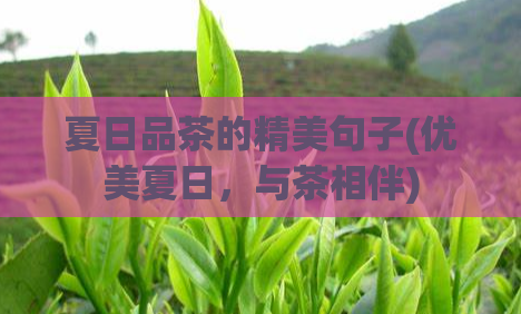 夏日品茶的精美句子(优美夏日，与茶相伴)  第1张