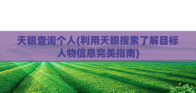 天眼查询个人(利用天眼搜索了解目标人物信息完美指南)  第1张