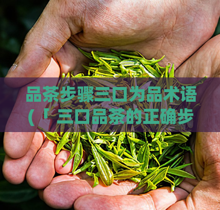 品茶步骤三口为品术语(「 三口品茶的正确步骤与技巧」)  第1张