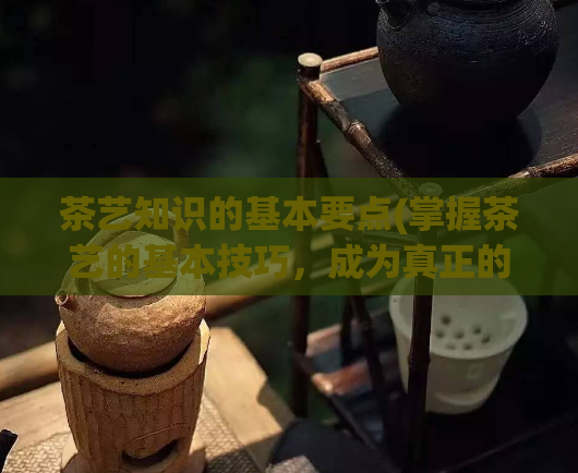 茶艺知识的基本要点(掌握茶艺的基本技巧，成为真正的茶艺爱好者)  第1张