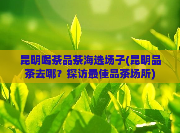 昆明喝茶品茶海选场子(昆明品茶去哪？探访最佳品茶场所)  第1张