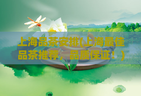 上海品茶安排(上海最佳品茶推荐，品质保证！)  第1张