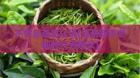 不会品茶怎么说(品茶新手必知的几点建议)  第1张