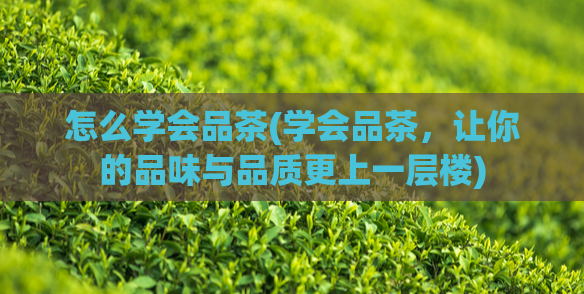 怎么学会品茶(学会品茶，让你的品味与品质更上一层楼)  第1张