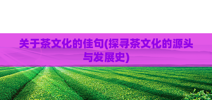关于茶文化的佳句(探寻茶文化的源头与发展史)  第1张