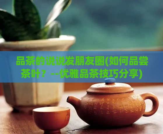 品茶的说说发朋友圈(如何品尝茶叶？--优雅品茶技巧分享)  第1张