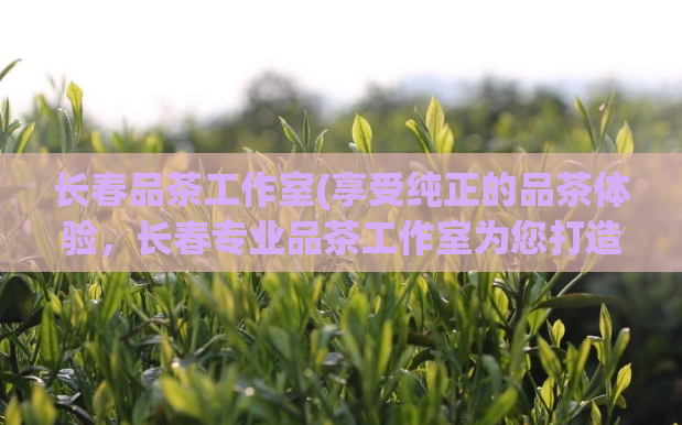 长春品茶工作室(享受纯正的品茶体验，长春专业品茶工作室为您打造)  第1张