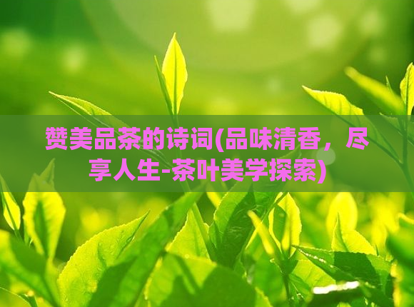 赞美品茶的诗词(品味清香，尽享人生-茶叶美学探索)  第1张