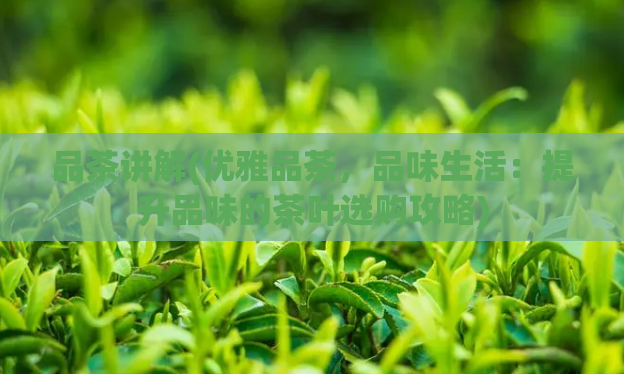 品茶讲解(优雅品茶，品味生活：提升品味的茶叶选购攻略)  第1张