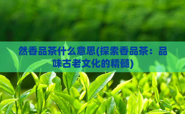 然香品茶什么意思(探索香品茶：品味古老文化的精髓)  第1张