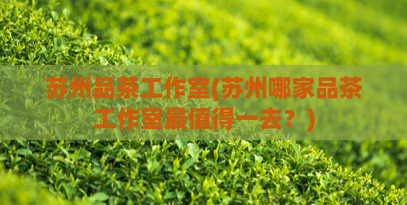 苏州品茶工作室(苏州哪家品茶工作室最值得一去？)  第1张