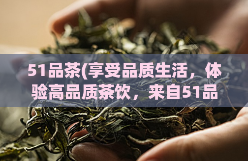 51品茶(享受品质生活，体验高品质茶饮，来自51品茶的香气与美好)  第1张