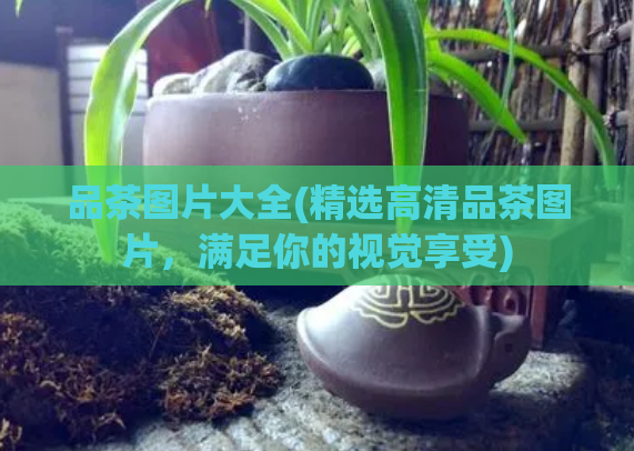 品茶图片大全(精选高清品茶图片，满足你的视觉享受)  第1张