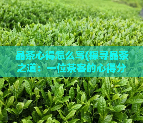 品茶心得怎么写(探寻品茶之道：一位茶客的心得分享)  第1张
