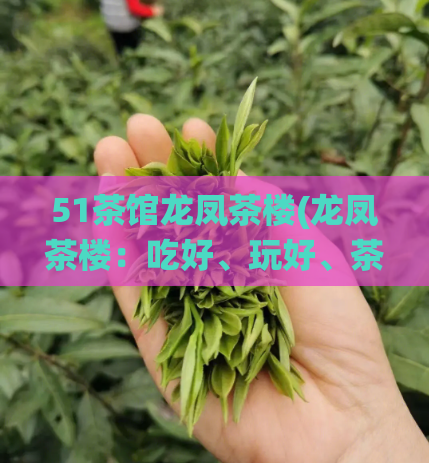 51茶馆龙凤茶楼(龙凤茶楼：吃好、玩好、茶香环绕)  第1张