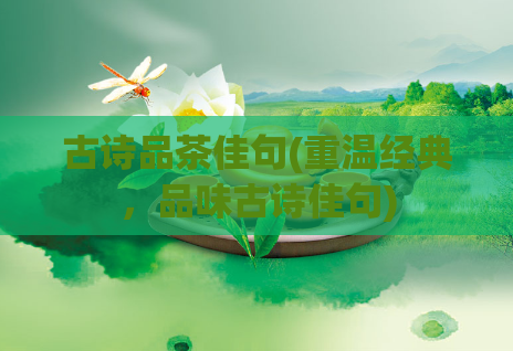 古诗品茶佳句(重温经典，品味古诗佳句)  第1张