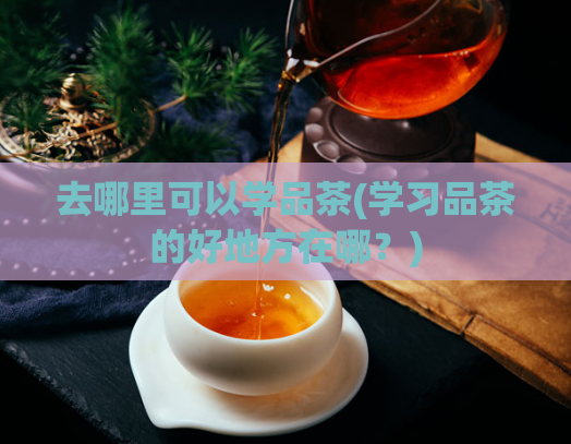 去哪里可以学品茶(学习品茶的好地方在哪？)  第1张