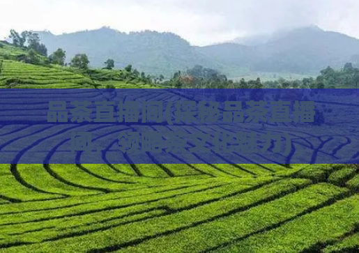 品茶直播间(探秘品茶直播间，领略茶文化魅力)  第1张