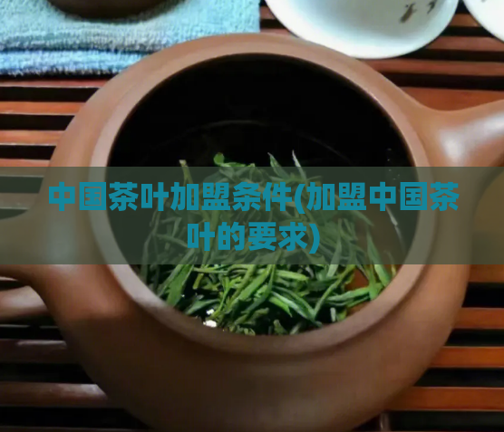 中国茶叶加盟条件(加盟中国茶叶的要求)  第1张
