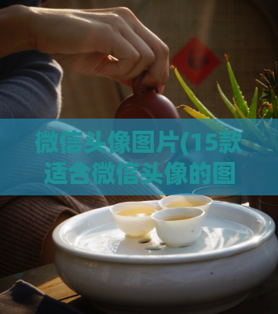 微信头像图片(15款适合微信头像的图片，让你立于不败之地！)  第1张