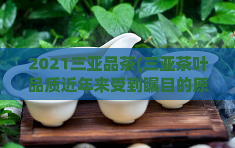 2021三亚品茶(三亚茶叶品质近年来受到瞩目的原因是什么？)  第1张