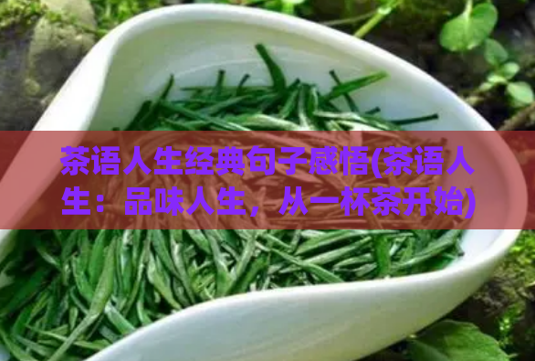 茶语人生经典句子感悟(茶语人生：品味人生，从一杯茶开始)  第1张