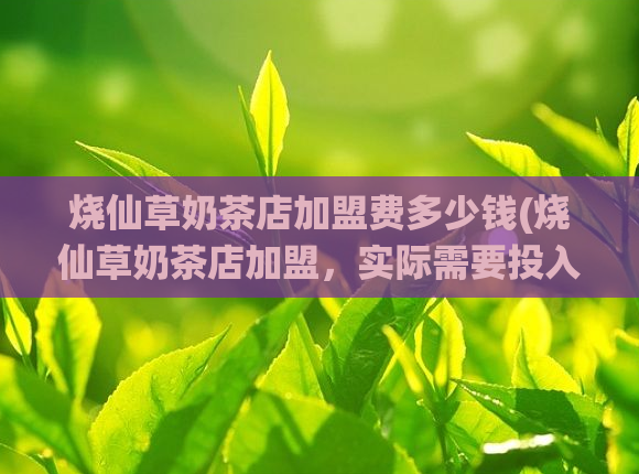 烧仙草奶茶店加盟费多少钱(烧仙草奶茶店加盟，实际需要投入多少资金？)  第1张