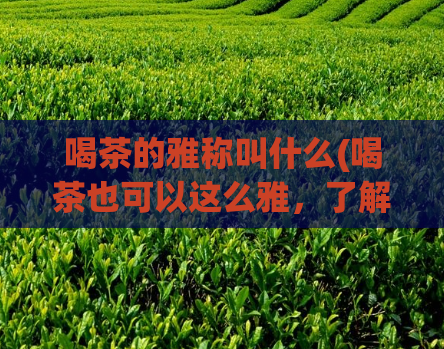 喝茶的雅称叫什么(喝茶也可以这么雅，了解一下？)  第1张