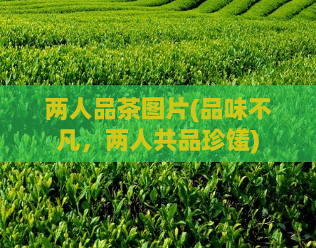 两人品茶图片(品味不凡，两人共品珍馐)  第1张