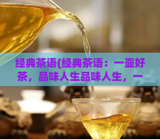 经典茶语(经典茶语：一壶好茶，品味人生品味人生，一壶好茶)  第1张