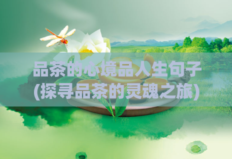品茶的心境品人生句子(探寻品茶的灵魂之旅)  第1张