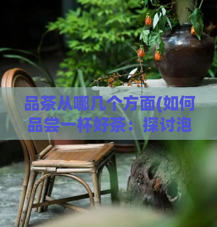 品茶从哪几个方面(如何品尝一杯好茶：探讨泡茶技巧和选择优质茶叶)  第1张