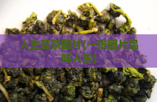 人生品茶图片(一张图片品味人生)  第1张