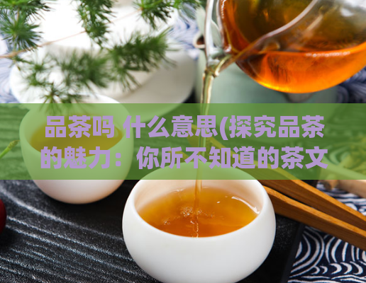 品茶吗 什么意思(探究品茶的魅力：你所不知道的茶文化)  第1张
