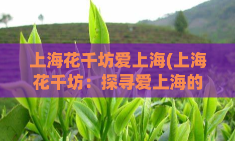 上海花千坊爱上海(上海花千坊：探寻爱上海的魅力)  第1张