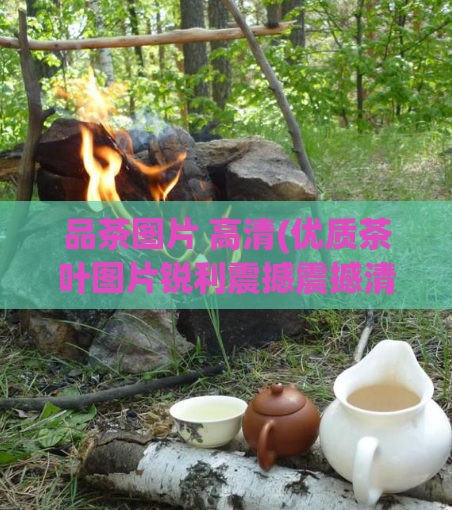 品茶图片 高清(优质茶叶图片锐利震撼震撼清晰)  第1张