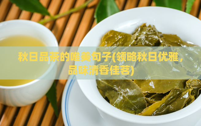 秋日品茶的唯美句子(领略秋日优雅，品味清香佳茗)  第1张