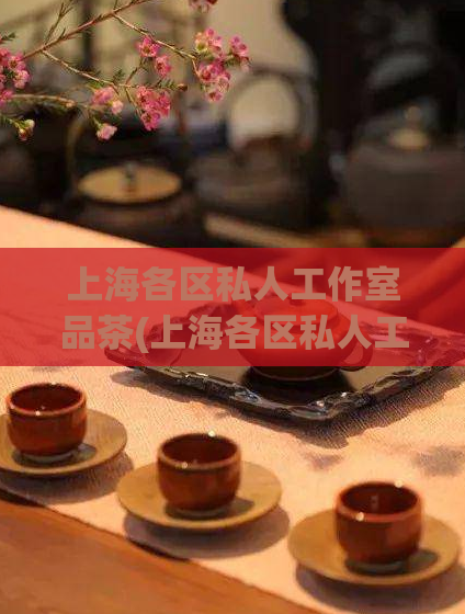 上海各区私人工作室品茶(上海各区私人工作室：追求品茶的独特场所)  第1张
