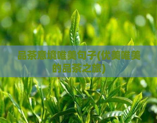 品茶意境唯美句子(优美唯美的品茶之旅)  第1张