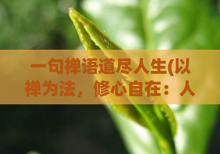 一句禅语道尽人生(以禅为法，修心自在：人生道理)  第1张