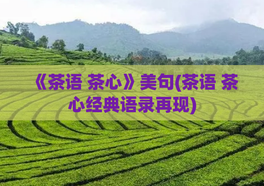 《茶语 茶心》美句(茶语 茶心经典语录再现)  第1张