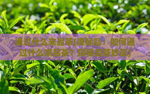通过什么来品茶(原标题：如何通过什么来品茶？探秘品茶妙道)  第1张