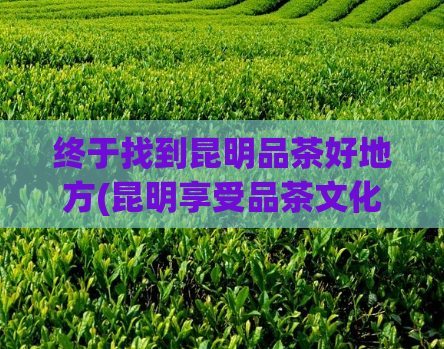 终于找到昆明品茶好地方(昆明享受品茶文化的好去处)  第1张