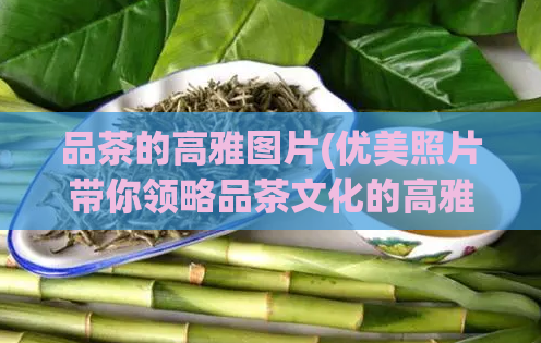 品茶的高雅图片(优美照片带你领略品茶文化的高雅魅力)  第1张