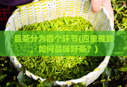 品茶分为四个环节(四重雅致，如何品味好茶？)  第1张