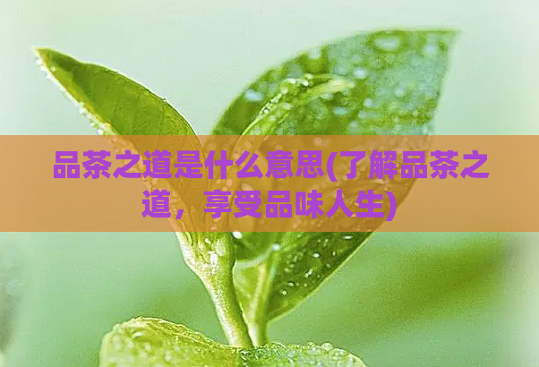 品茶之道是什么意思(了解品茶之道，享受品味人生)  第1张