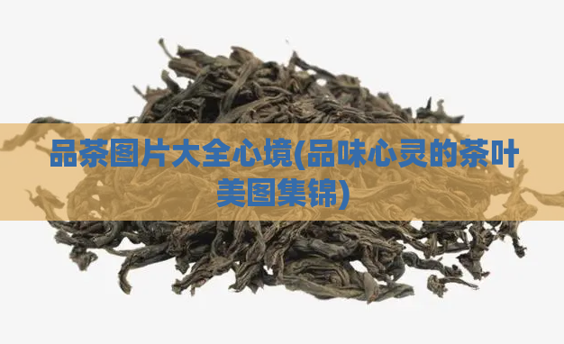 品茶图片大全心境(品味心灵的茶叶美图集锦)  第1张