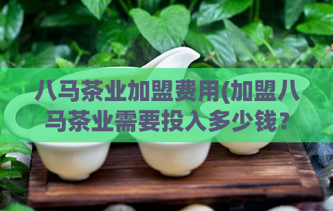 八马茶业加盟费用(加盟八马茶业需要投入多少钱？)  第1张